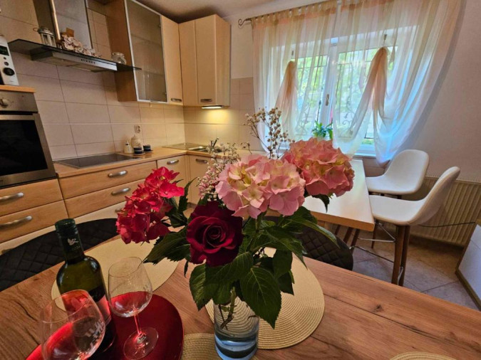 Apartman Jasmin, Apartments Rita Novigrad